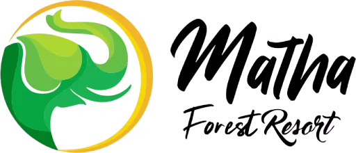 website developer in patna