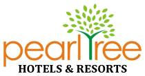 web design company in patna